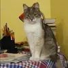 Отзыв от Эльмира Гончарова